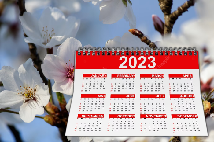 Как отдыхаем на майские в 2023 году. Режим работы в майские праздники. Майские праздники 2019. Фон для режима работы в майские праздники. Календарь плакат.