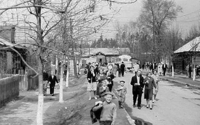 Привокзальная площадь 1960 –1965 Россия, Московская область, Железнодорожный (Балашиха)
Автор: Светлана Русакова