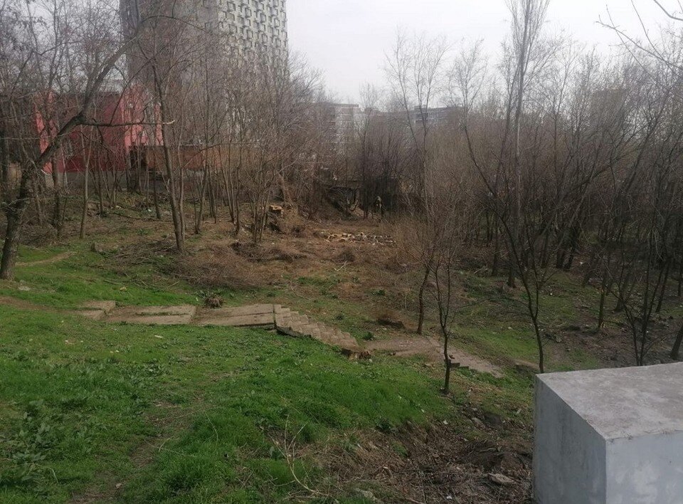     25 марта ростовчанам придется играючи навести порядок в сквере на Горького. Фото: Владимир Гиро.