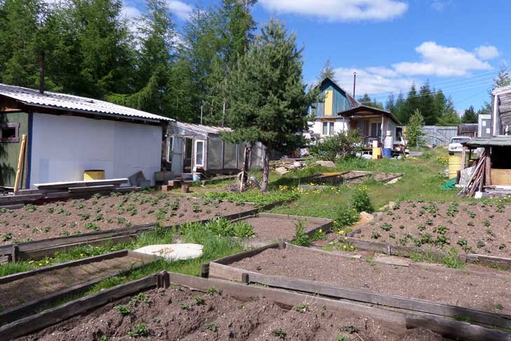 В дачном поселке 125 домов