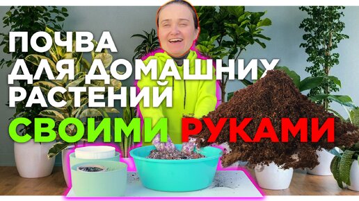 КАКУЮ ПОЧВУ сделать САМОМУ!