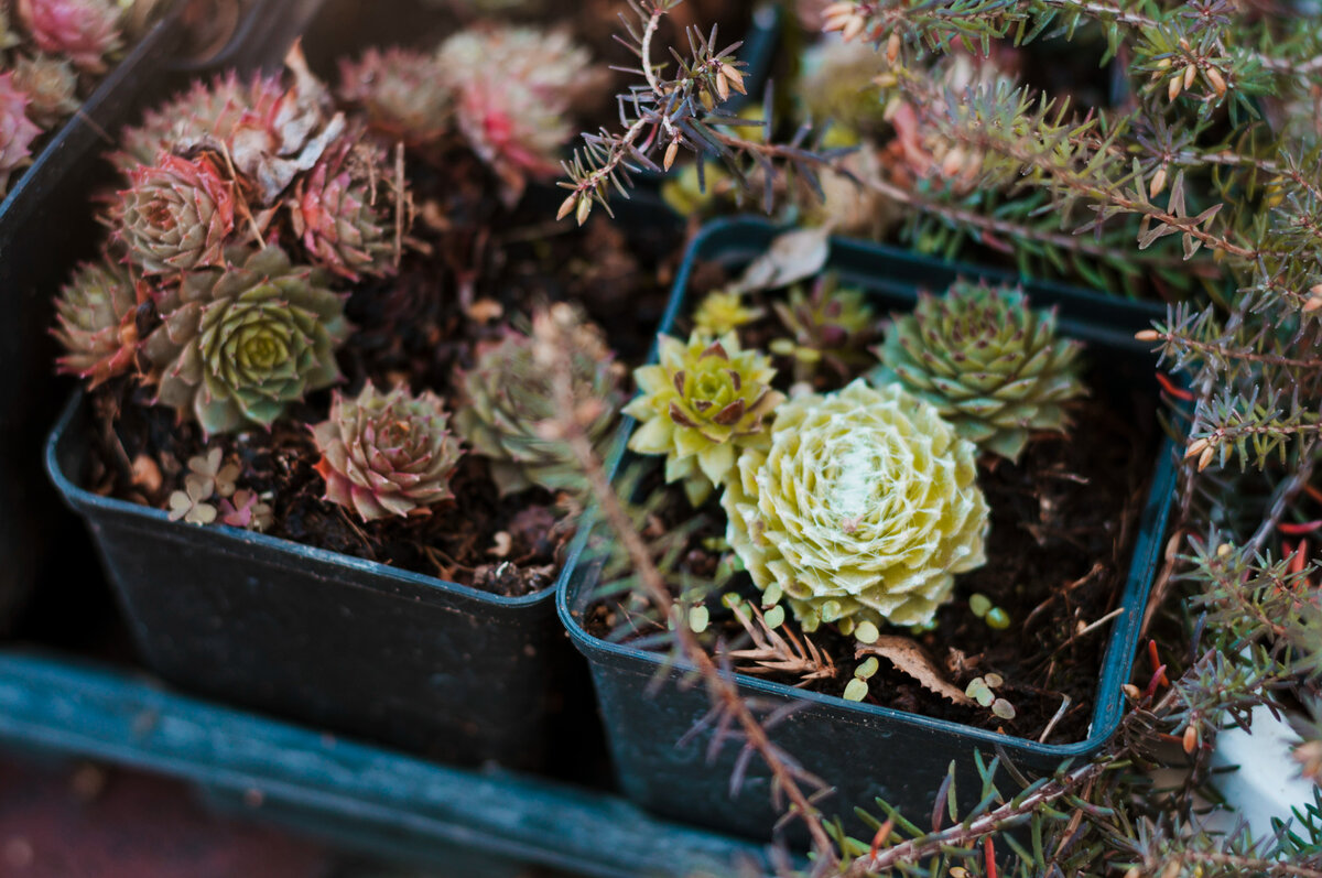 Источник: freepik.com