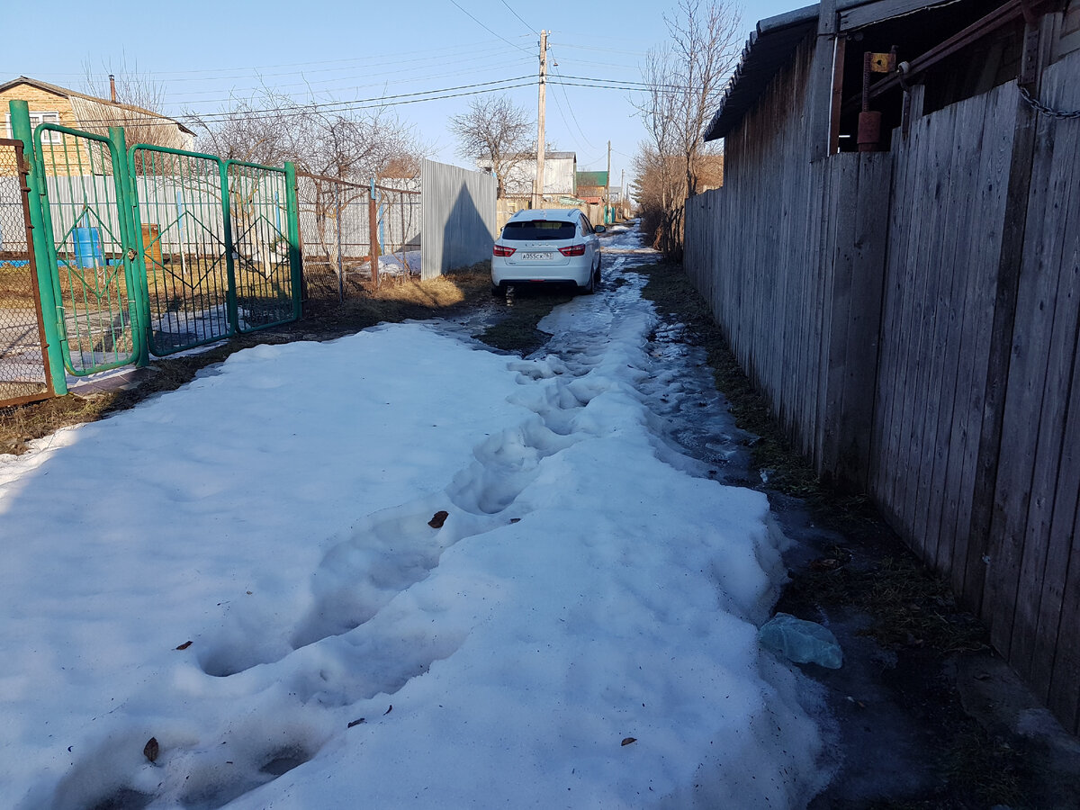 В чём прелесть жизни на даче в заповедных местах без электричества,  интернета и воды. | Путешественница с ложкой | Дзен