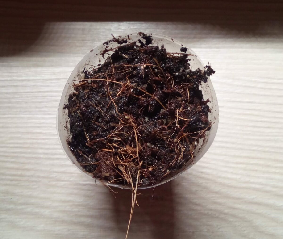 Есть кто живой?