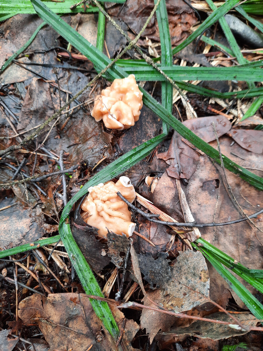 Первые строчки в этом году!
Фото автора