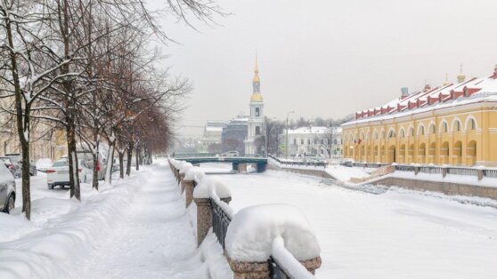    В Петербурге снежный покров вырос до 21 сантиметра после 2 дней непогоды Алина Городниченко