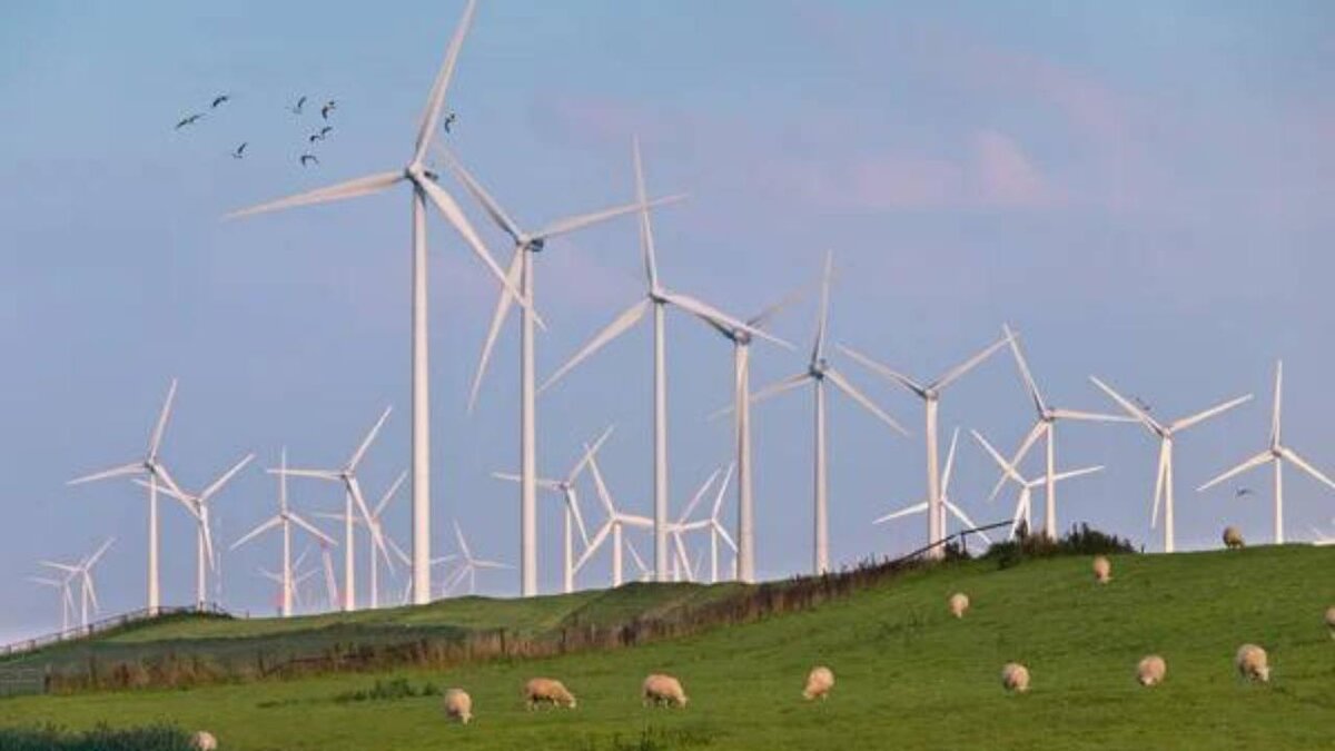 Наилучшие шансы для ветроэнергетики в Российской Федерации — в степных районах