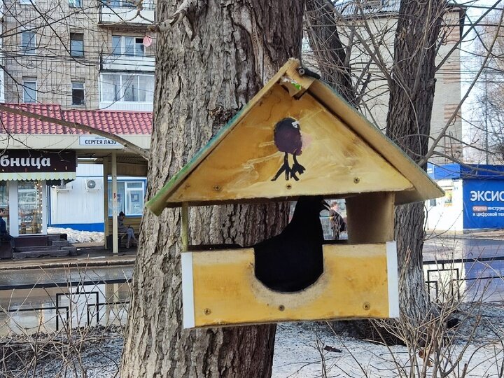     Фото: Анны Ковалевой/Сиб.м