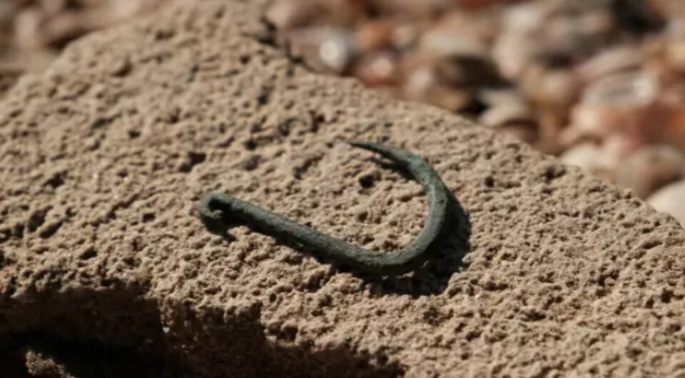   Emil Aladjem / Israel Antiquities Authority