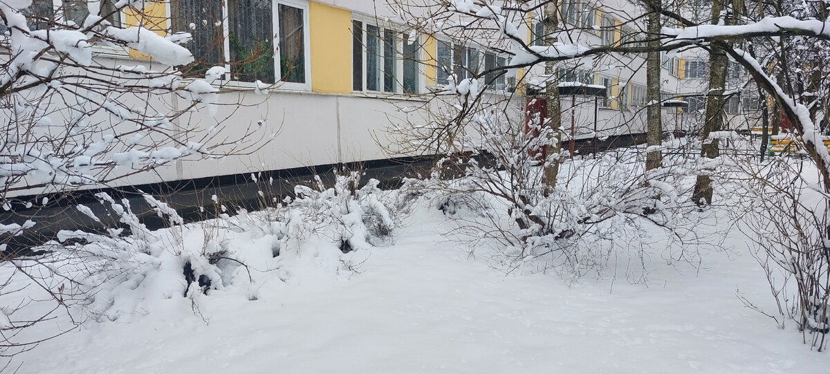 Вышли из дома и снова оказались в зимней сказке.