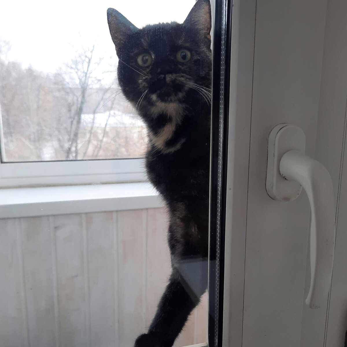 Фото из личного архива.