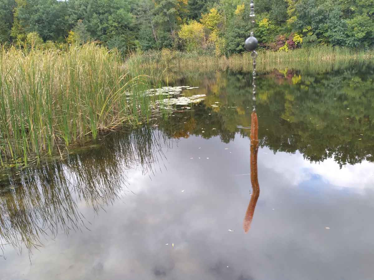 Одной из целей моих «понедельничных рейдов» было снятие забытых по «синьке» сетей, которые могли стать могильниками для рыбы, и туристы не оставляли меня без работыСиликон не всегда заменяет живого выползка, но как вариант.... Пояему бы и нет?