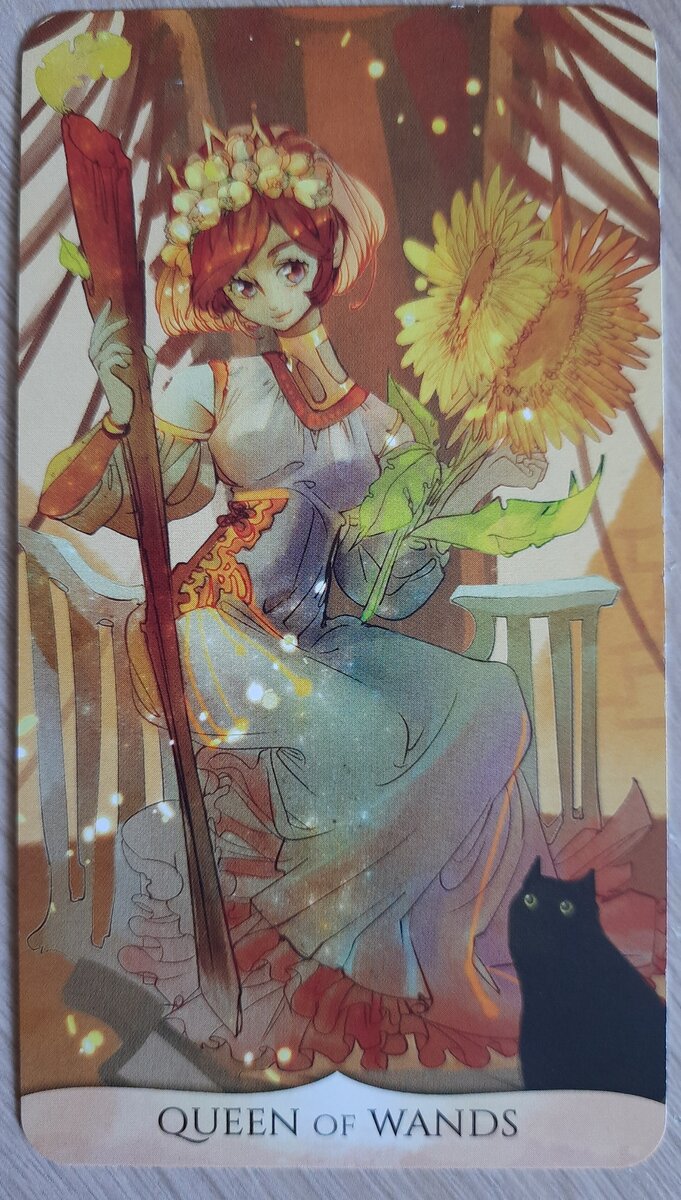 фото Елвита