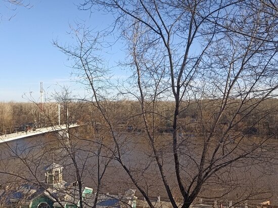     Архив «МК в Оренбурге»