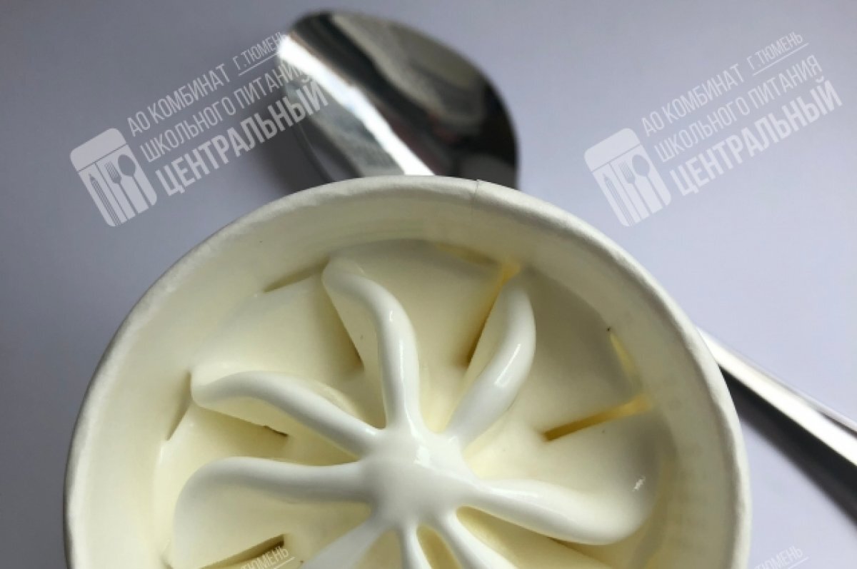    В школах Тюмени детей начали кормить мороженым с пребиотиками