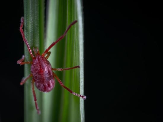     ФОТО UNSPLASH.COM