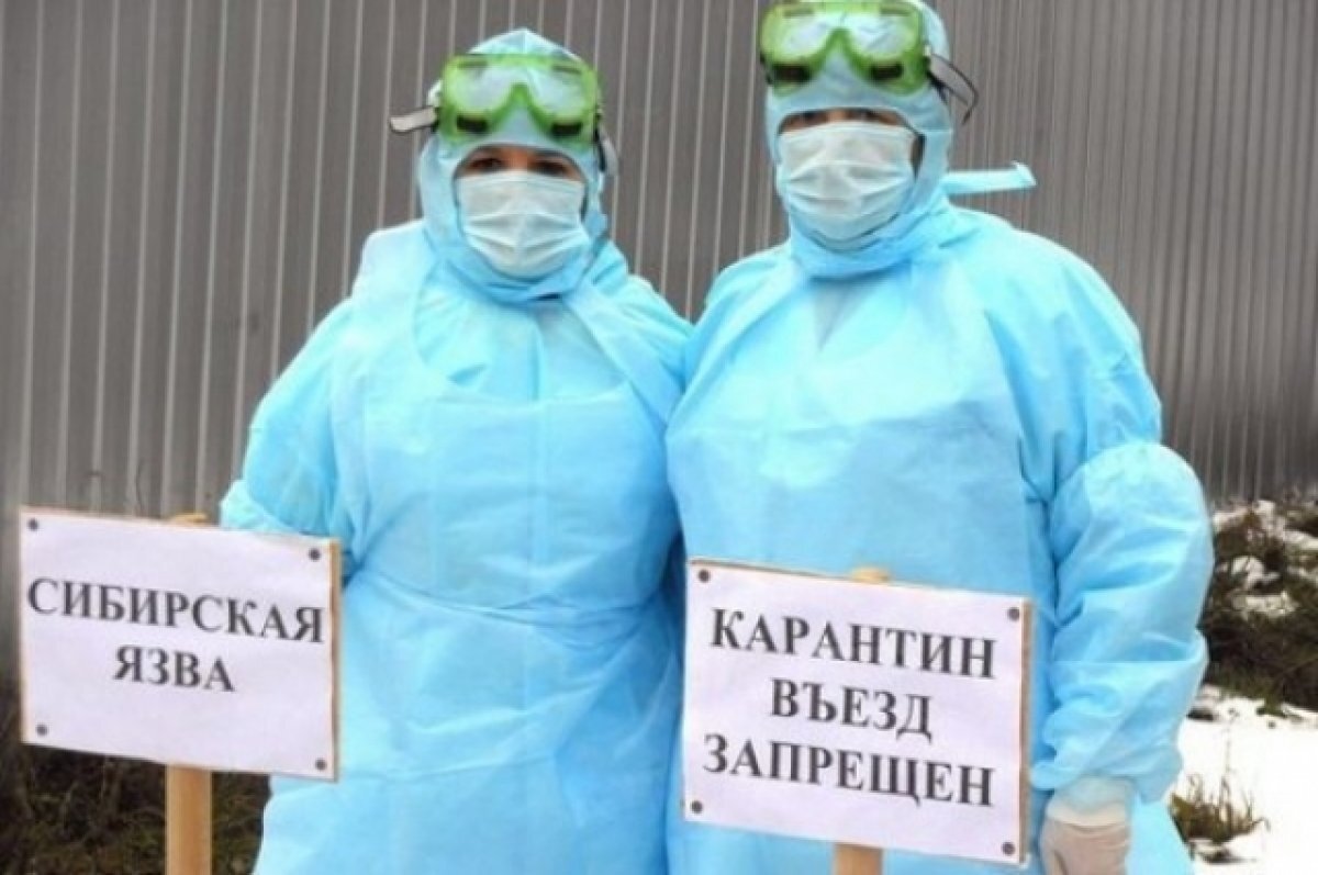    Россельхознадзор: угроза распространения сибирской язвы отсутствует