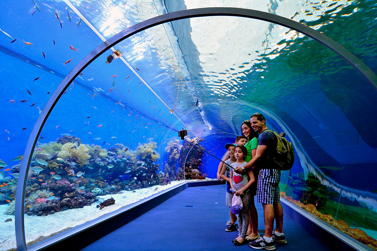 Подводная обсерватория. Источник: https://enjourney.ru/strany/israel/regioni/eylat/mesto/podvodnaya_observatoriya