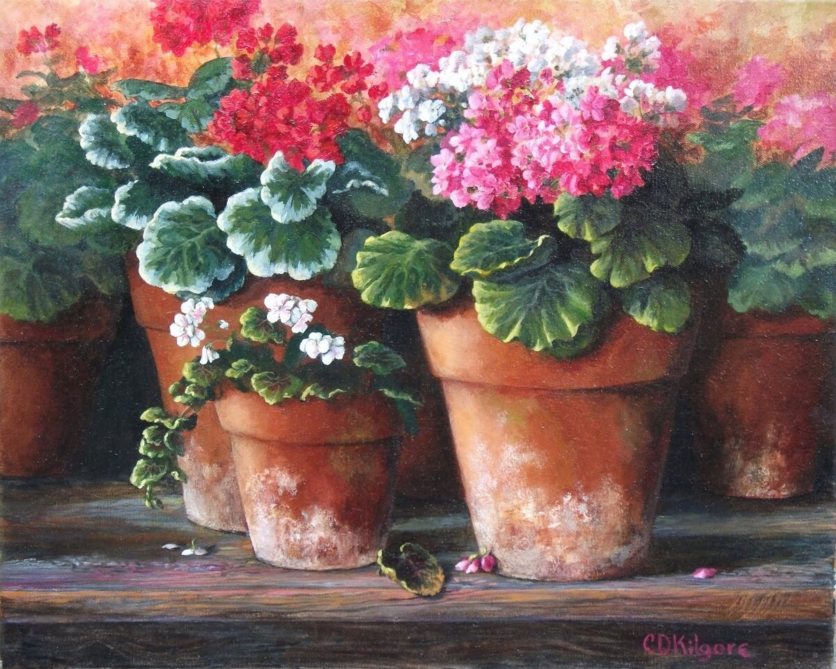 Картинка из общего доступа в интернете