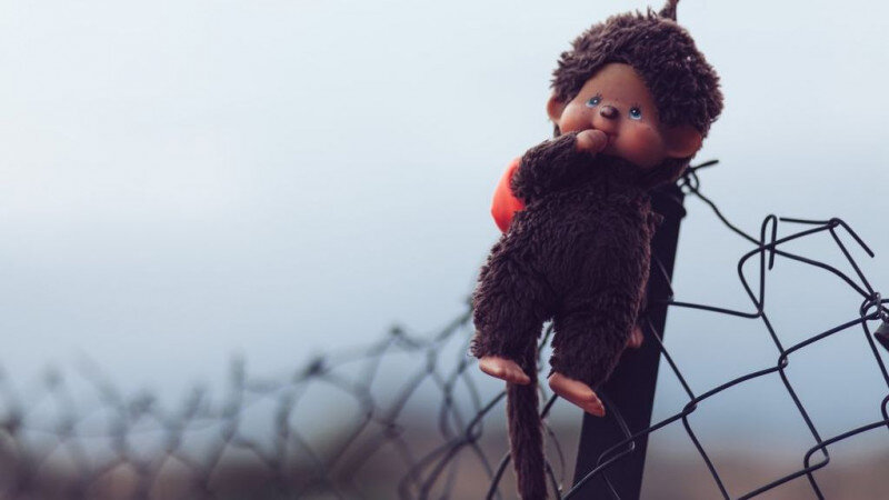     Детская игрушка. открытые источники (CC0)