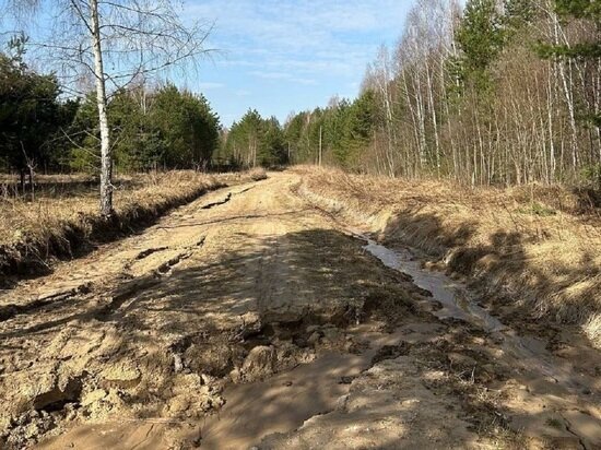     Фото: пресс-службы прокуратуры региона