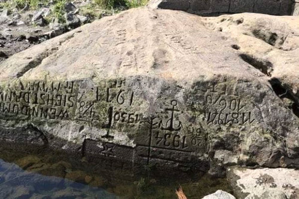 Яндекс. Картинки.