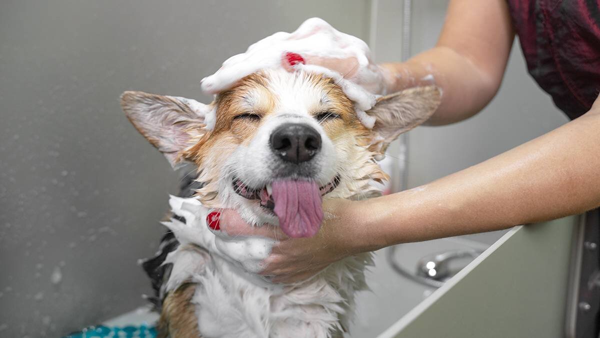    Фото: shutterstock