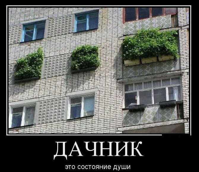 Картинка с просторов интернета, она очень хорошо меня характеризует