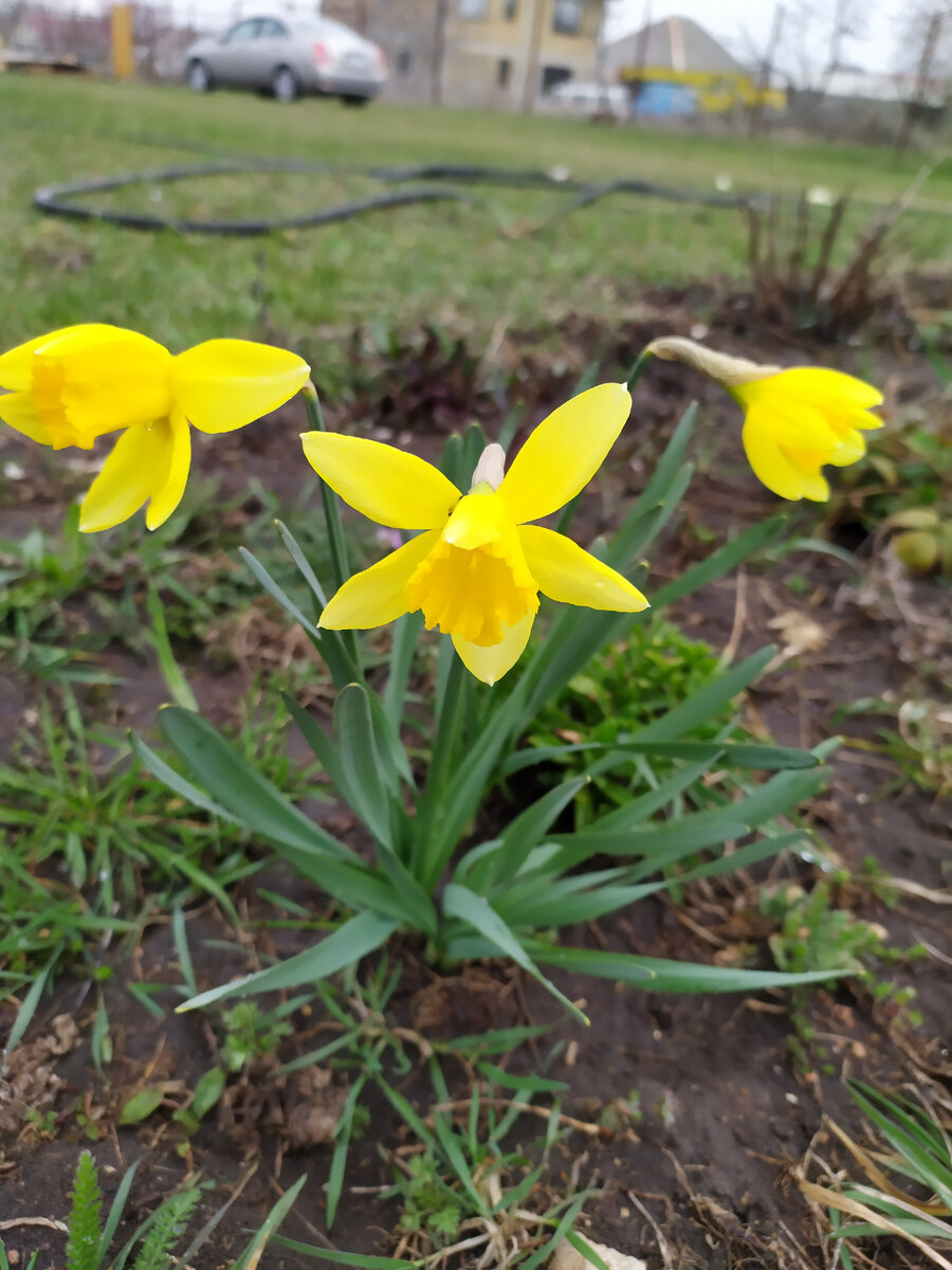 Смотрим Триколор в Крыму, а тарелка висит в Сибири. | Увидеть Крым | Дзен