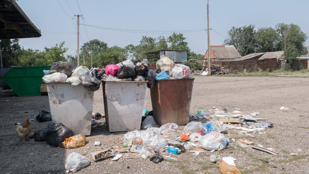     Горожане уверены, что подобная ситуация происходит в городе повсеместно.