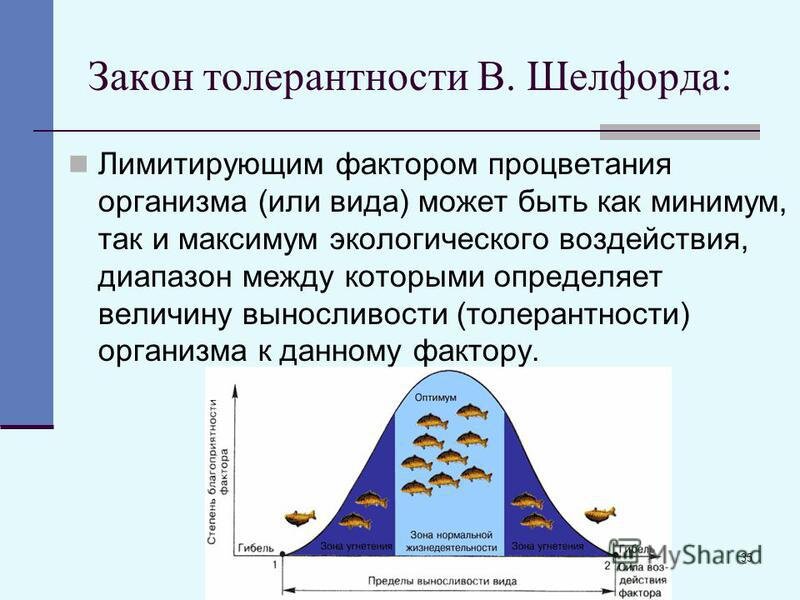 Схема лимитирующего фактора