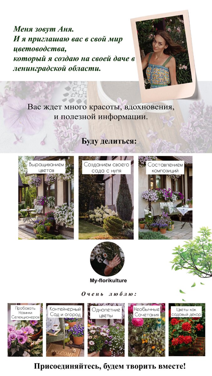 #цветы#сад#однолетники#петуния#flowers