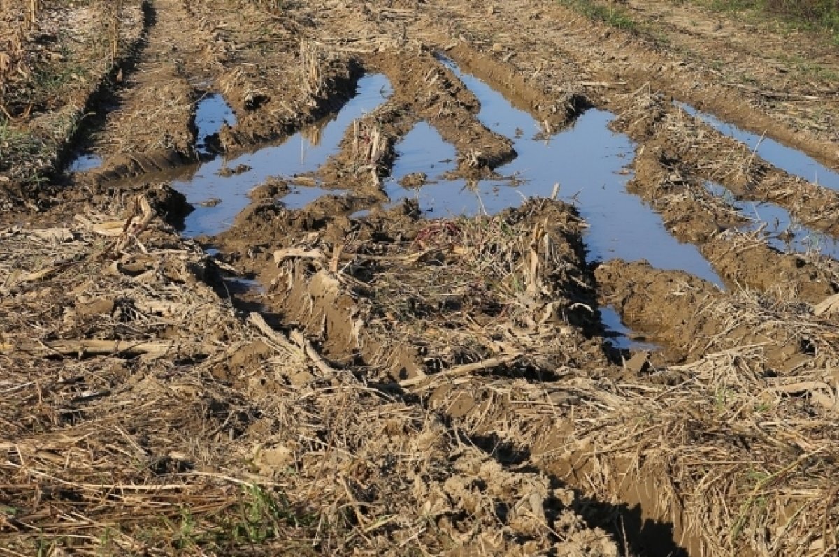    На дороге в тульском селе застряли трактор, грейдер и полицейская машина