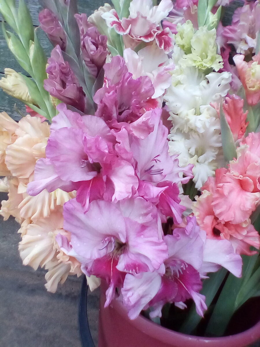 Сразу вспомнила "Первый звонок" в школе