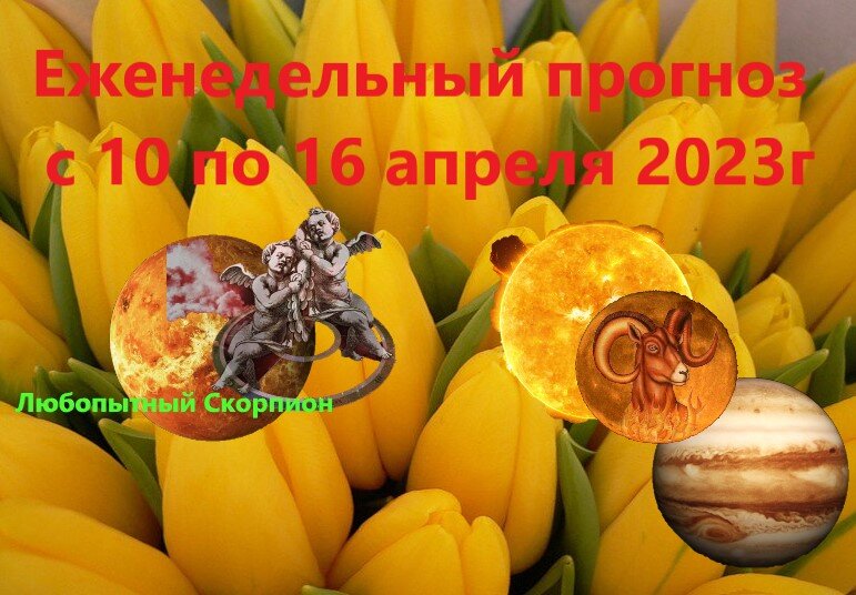 мои картинки