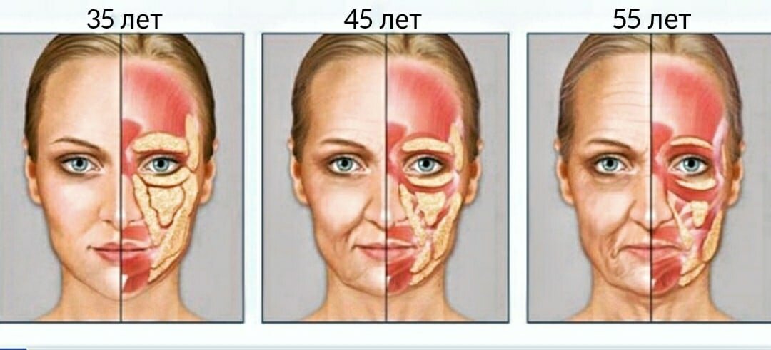 Фотопроект AgeMaps: как меняется лицо человека с возрастом