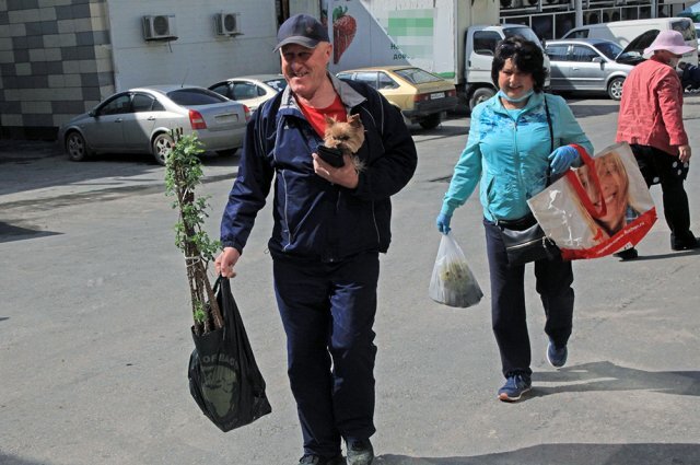    Где можно купить саженцы в Волгограде?