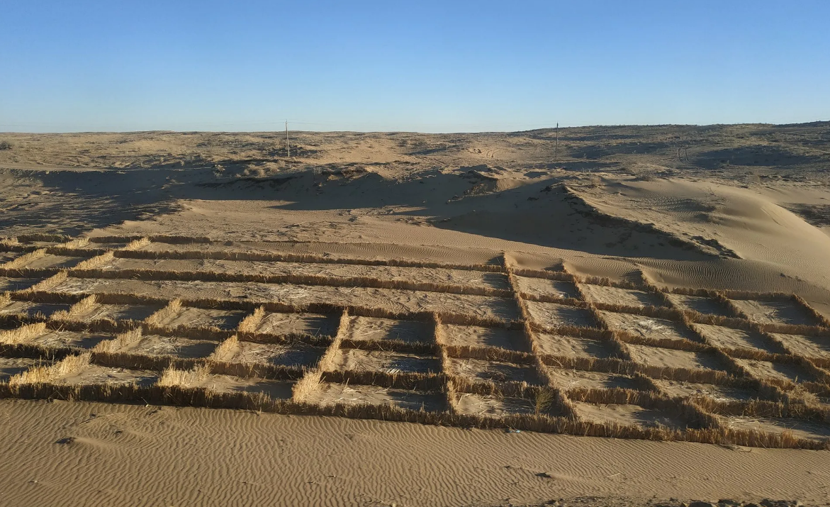 Вот подготовлены грядки под деревья и траву. Китай победит!