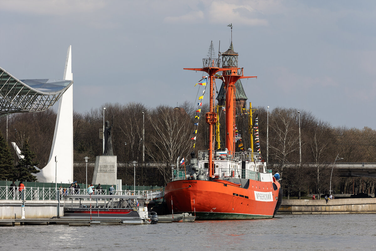 Фото: Юлия Власова, Калининград.Ru