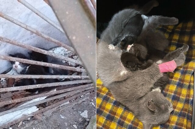    Фото: Из архива/ группа Вк