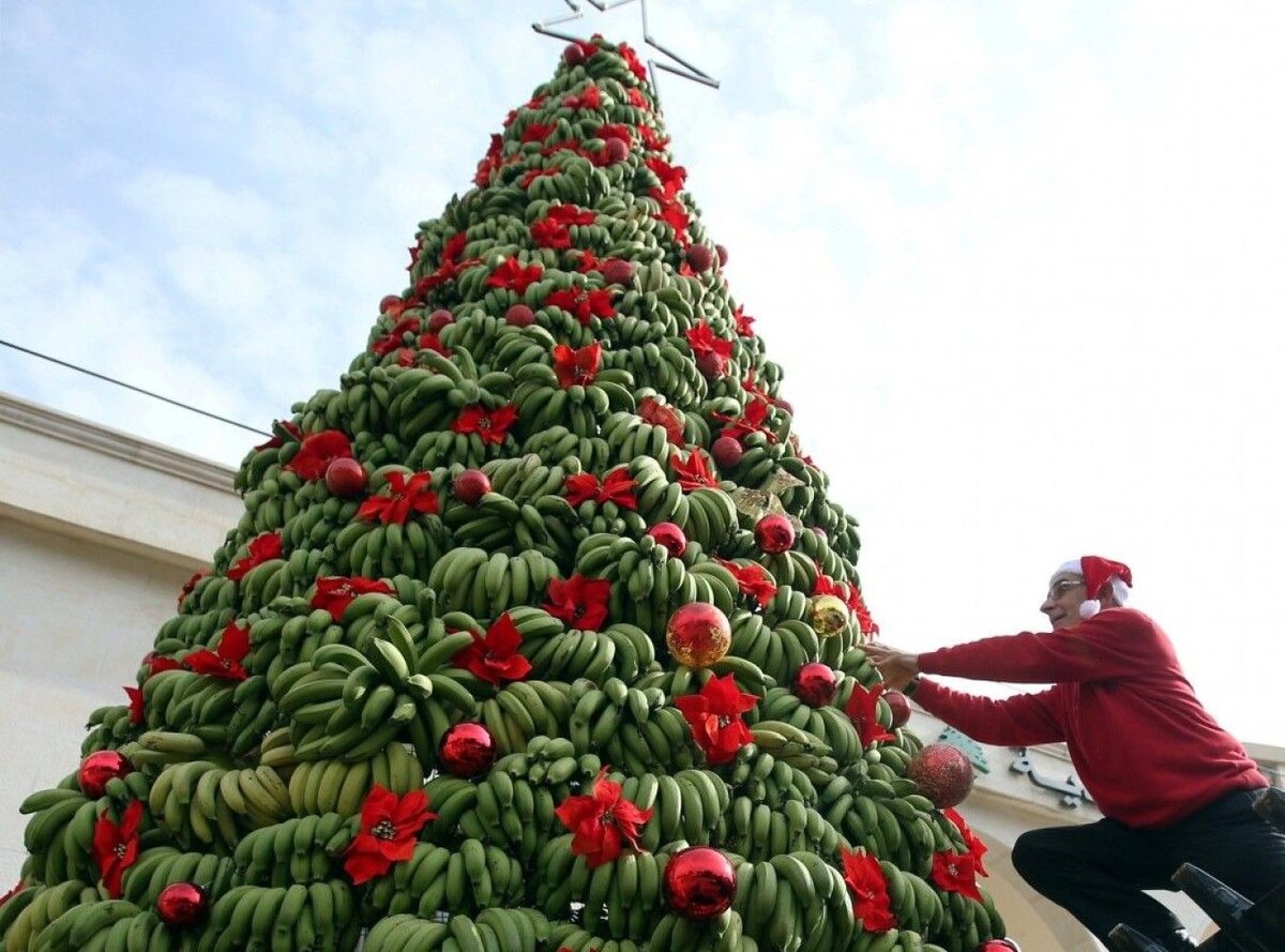 В Ливане сделали 3-х метровую елку из бананов, необычно :)
