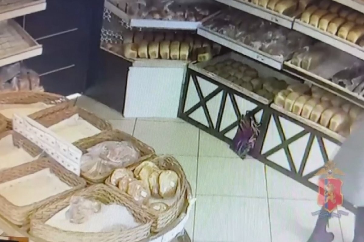    Потерянная женщиной папка-сумка, которую прихватил мужчина.