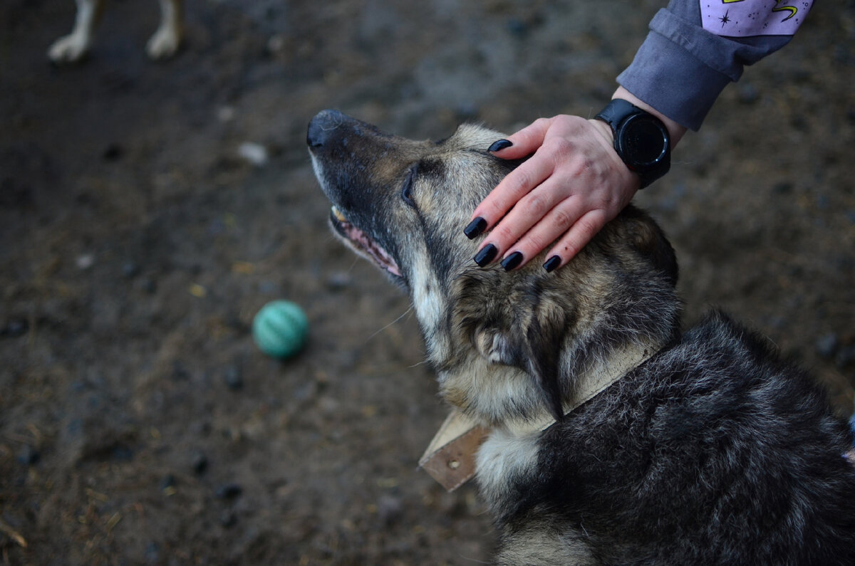 Фото: Татьяна Уфимцева / Фонд Ройзмана