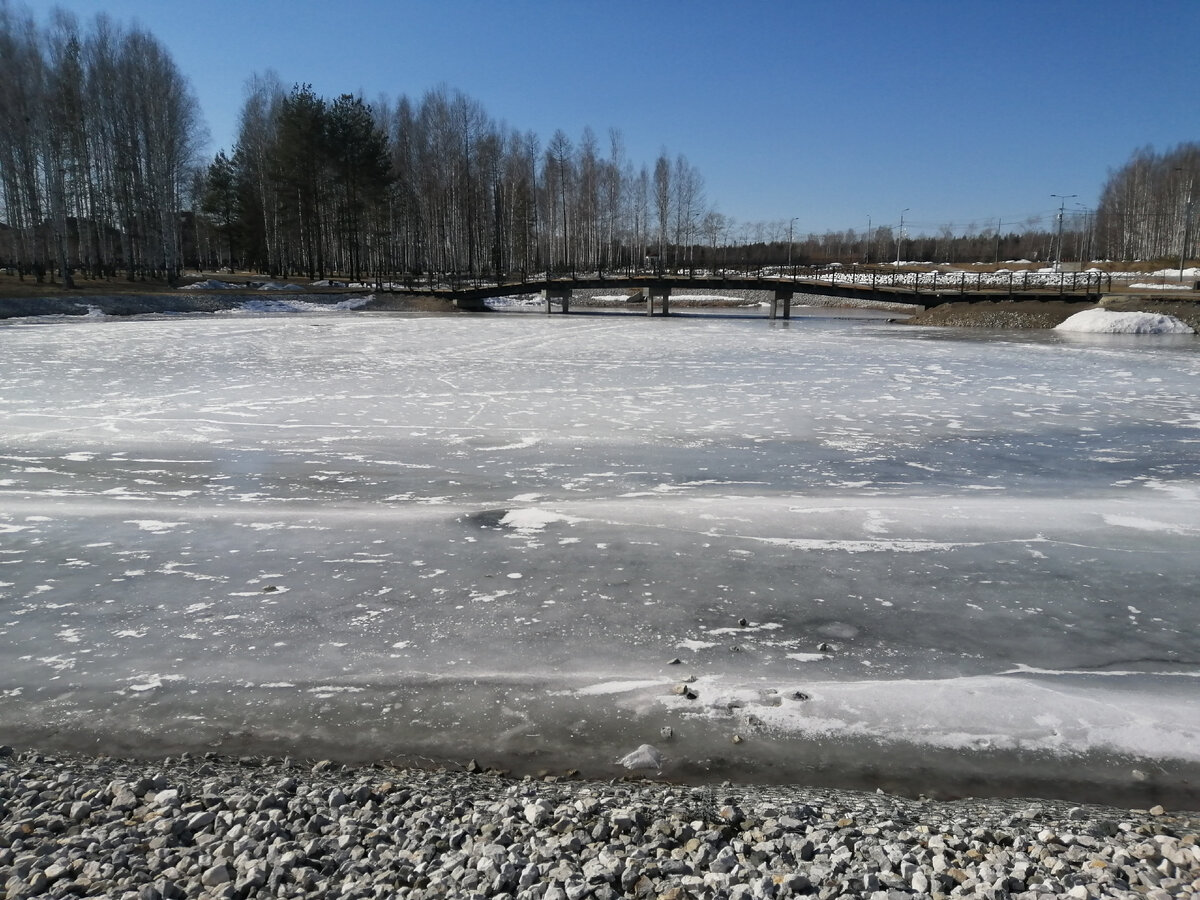 Гуляла примерно с 14,00 до 15,00, лёд на пруду ещё и не думал таять. 