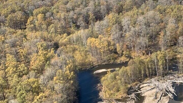     Лесные насаждения должны быть предназначены для собственных нужд граждан.