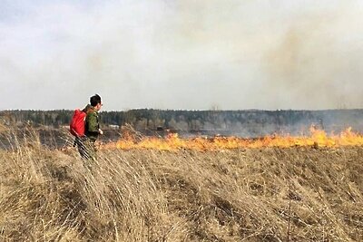    Пожароопасный сезон в лесах Подмосковья © Пресс-служба Комитета лесного хозяйства Московской области