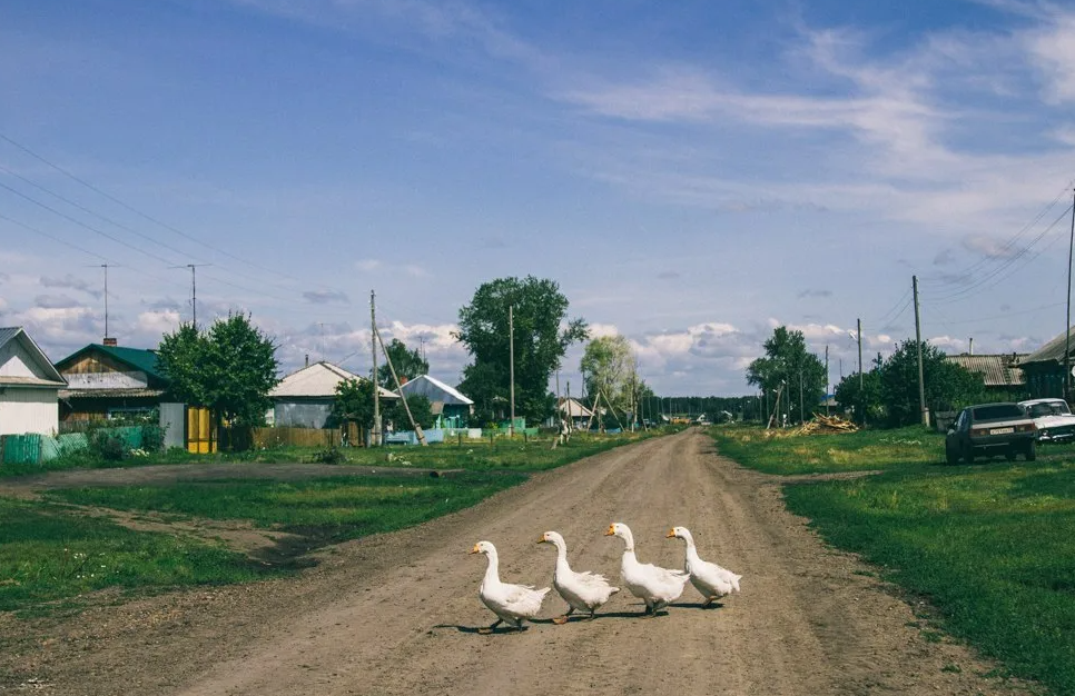 Яндекс картинки