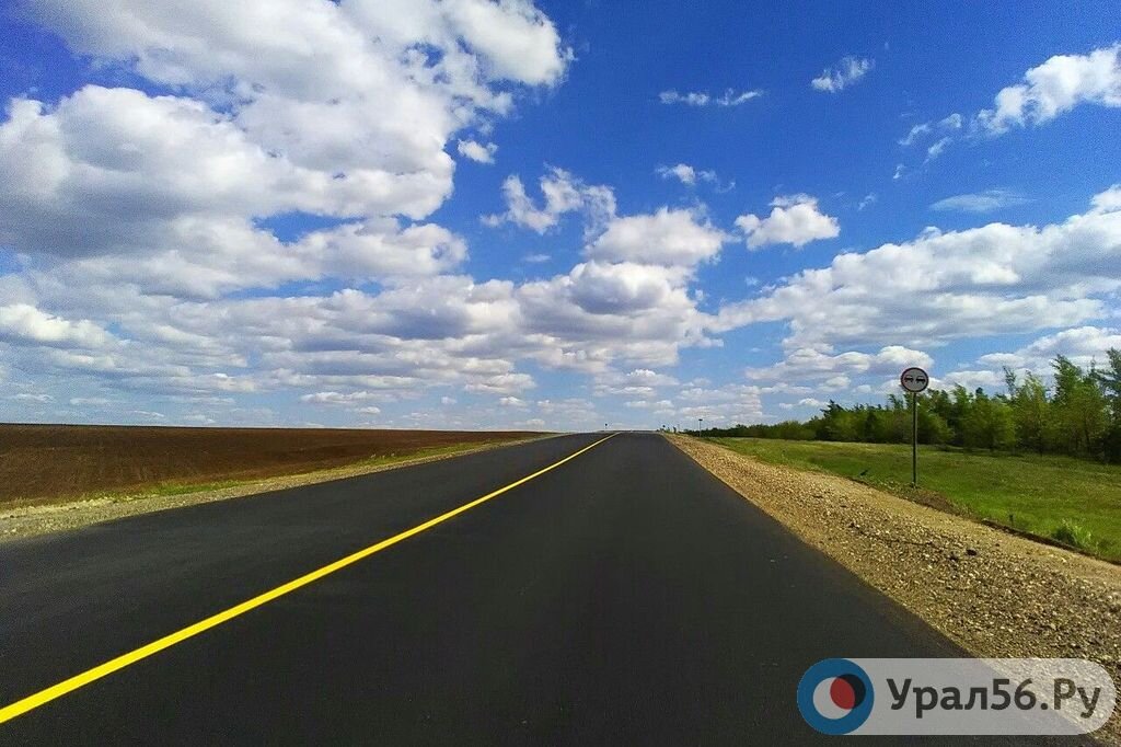    С начала 2023 года в Оренбургской области из-за выезда на встречную полосу погибли 14 человек