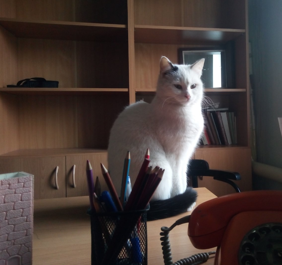 фото сделано мужем у себя на работе