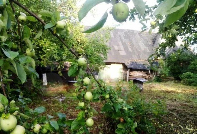 Что и говорить, отдых на собственной даче в летнее время не сравнится ни с каким другим времяпровождением.-2